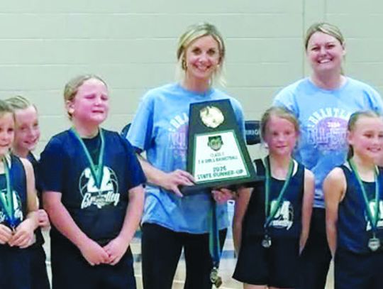 8U all-stars runner-up in state tourney