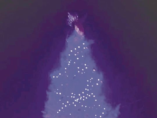 Annual tree lighting