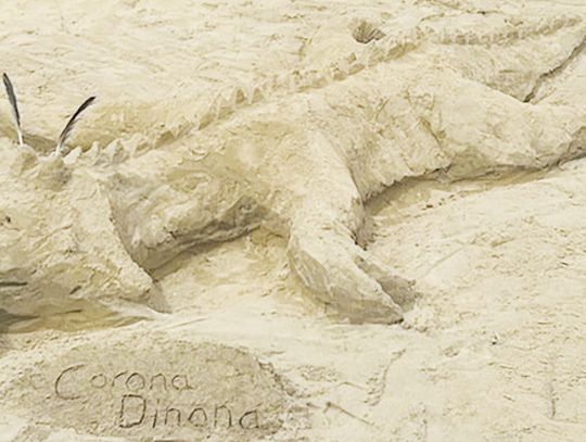 Atlantic Ocean beach hobby worth championship in California contest