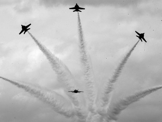 Baby birds to the Blue Angels - big difference