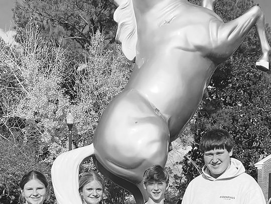 BCHS FFA teams finish top 5 in state