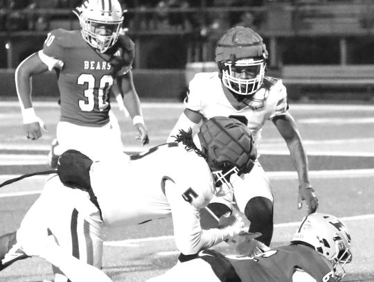 Bears drop second straight home game with loss to Appling