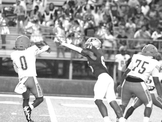 Bears maul Johnson-Savannah