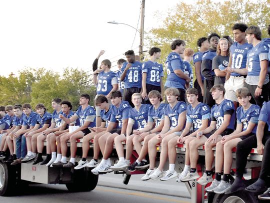Bears sighted on Main Street during parade
