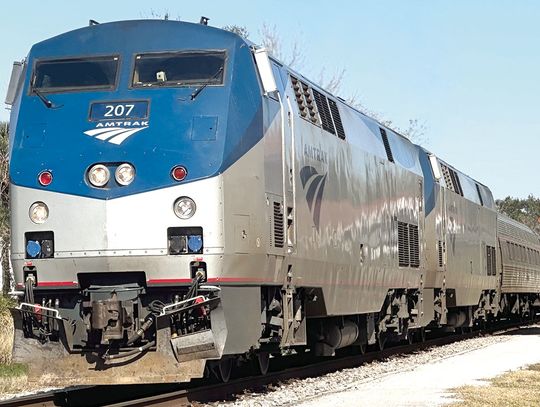 Belligerent passenger kicked of train