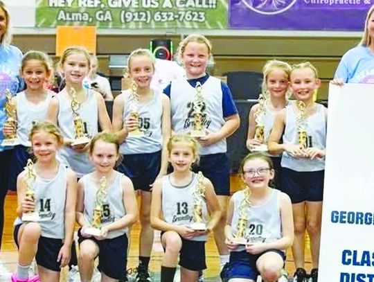 Brantley Co. wins 8U District title