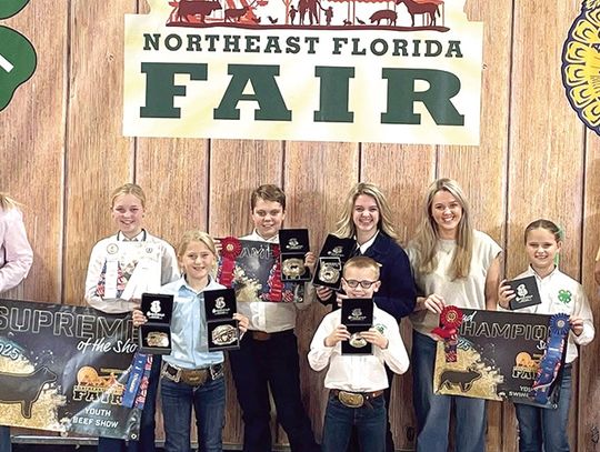 Brantley County Showteam shows out