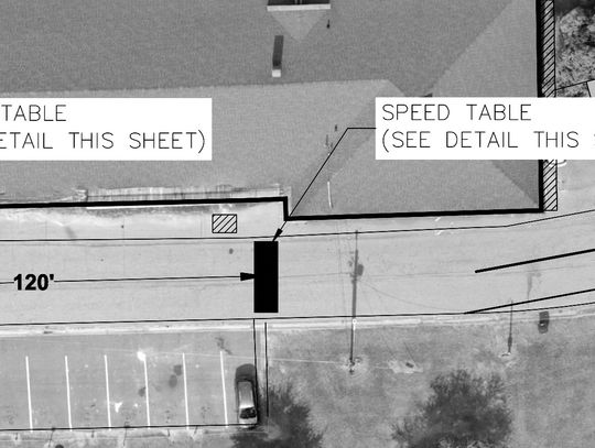 City council proposes ‘speed tables’ to slow down traffic between train depot and Blackshear City Park