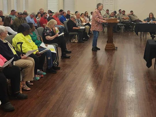 Commissioners get earful at budget hearing