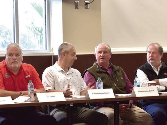 Davison against proposed bypass