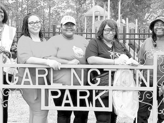 Delta Sigma Theta alumnae clean up park