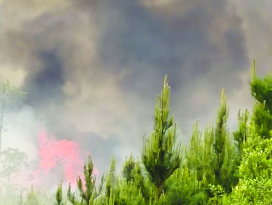 ‘Dynamic’ fire scarring eastern Brantley