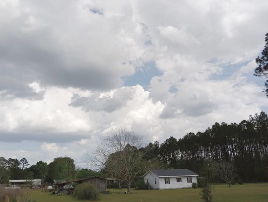 Easter clouds form animals