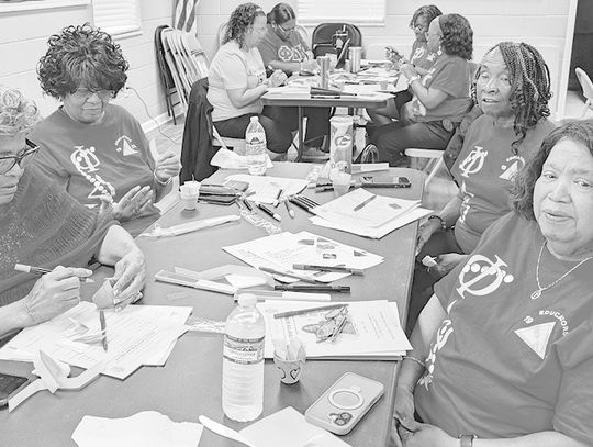 Educational sorority plans year