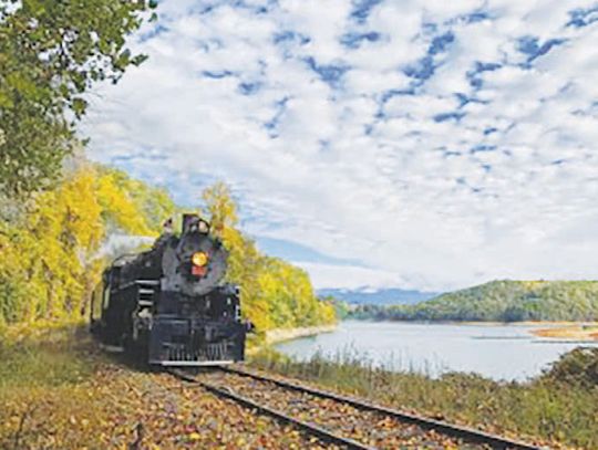 Enroll for a steam line excursion