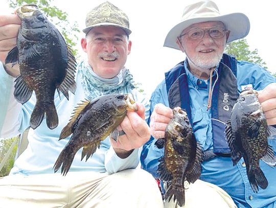 Fishing Report Fishing Report