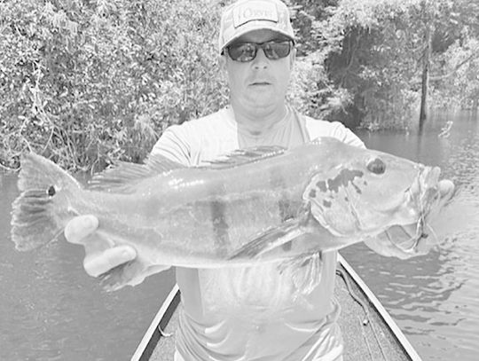 Fishing Report