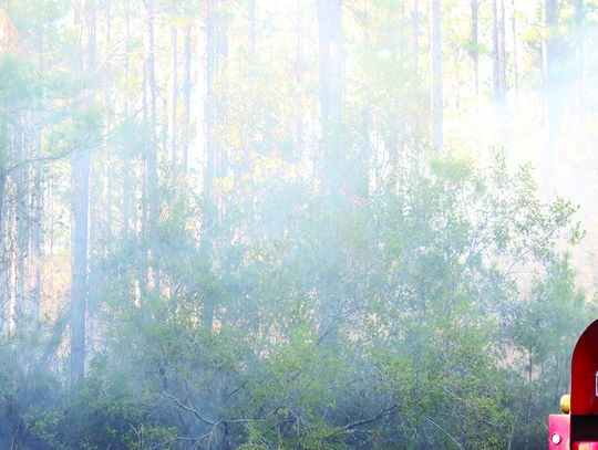 Ga. Forestry contains suspicious fires