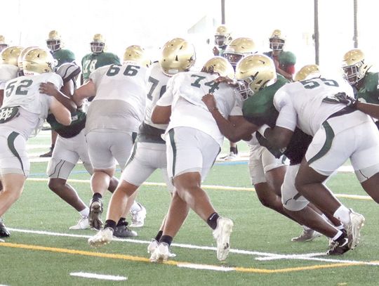 Gators begin first week in pads