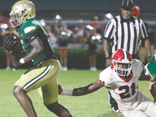 Gators cruise in opener
