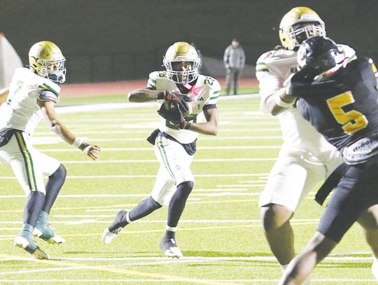 Gators run past region foe Evans