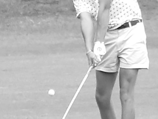 Gators shoot their way in to two-day state tourney Gators shoot their way in to two-day state tourney