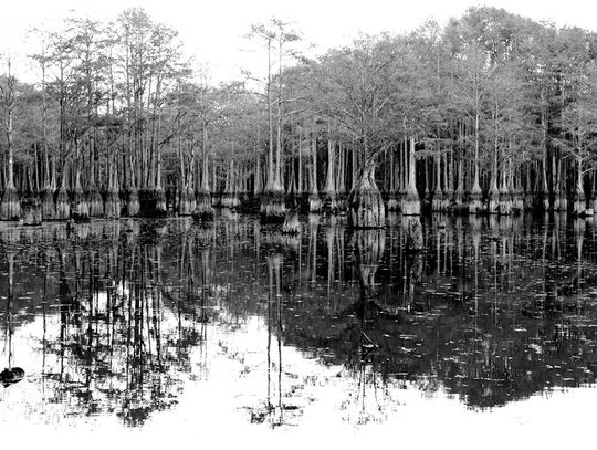 Gloves, ear plugs are now necessities to camp
