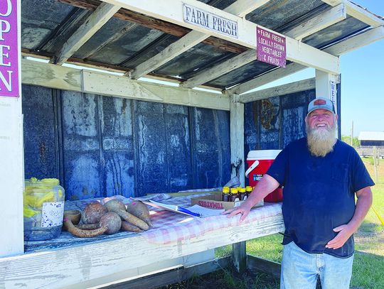 Griffin-Schuman Family Farm Stand sells pesticide-free veggies, fruit