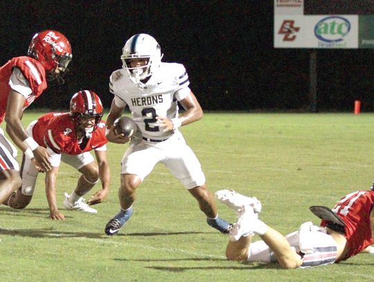 Herons fall 20-0 at Bacon County