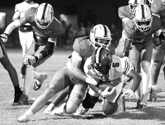 Herons fall in finale to Bacon County