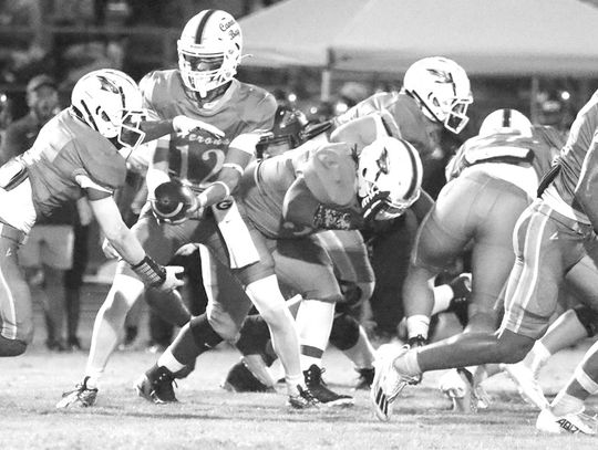 Herons fall in season opener to Charlton County