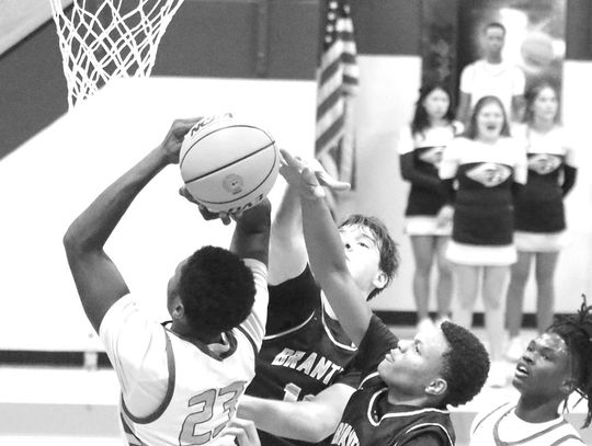 Herons split with Wayne, Pierce