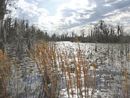 Historic land deal halts mining plan