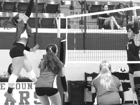 Lady Bears win 5 of 6 matches to reach 20 wins