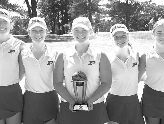 Lady Bears win Area 2 title