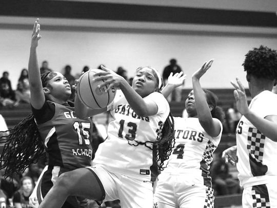 Lady Gators drop 2 of 3 in busy week