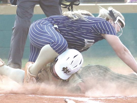 Lady Gators drop three of four