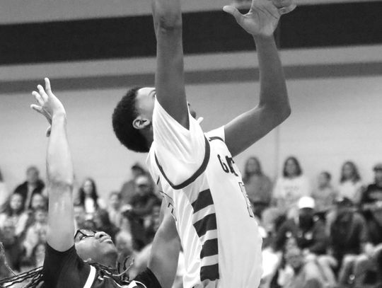 Lady Gators ousted in first round at Madison County