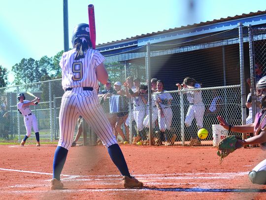Lady Herons easily advance
