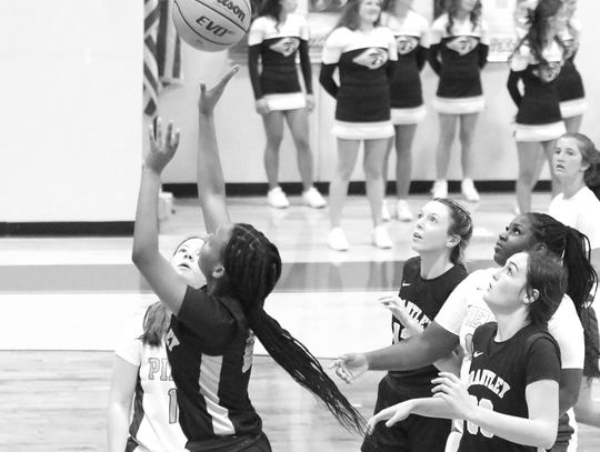 Lady Herons fall in Top 10 matchup with Bacon County