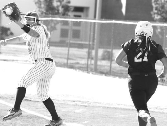 Lady Herons upset in first round by Armuchee