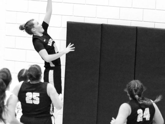 Lady Herons’ winning streak at four after beating Wayne, PCHS