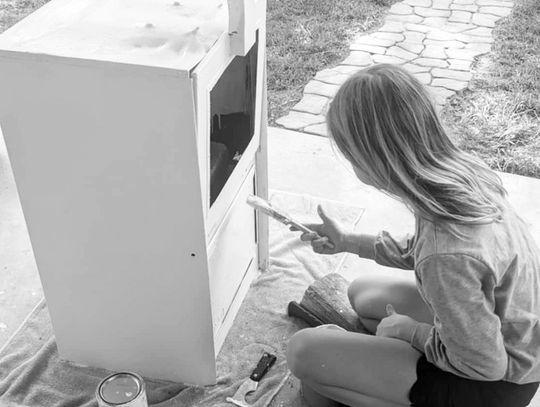 Little Free Library at Laura S. Walker State Park