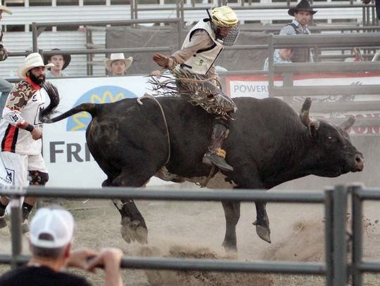 More from the Mossy Pond Rodeo Showdown