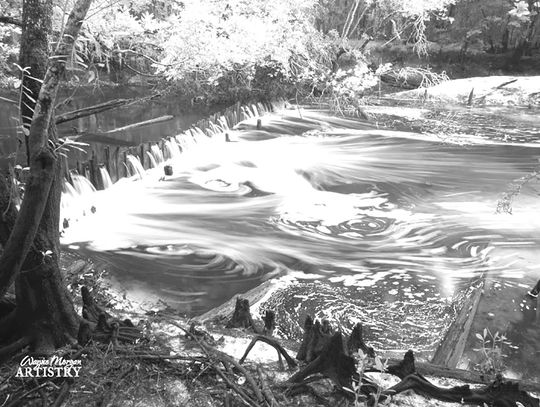 My favorite subject to photograph is Zirkle