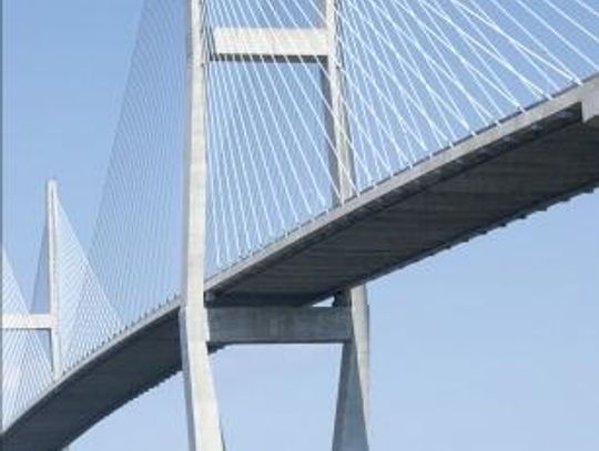 Nahunta woman pushing for Sydney Lanier Bridge barriers