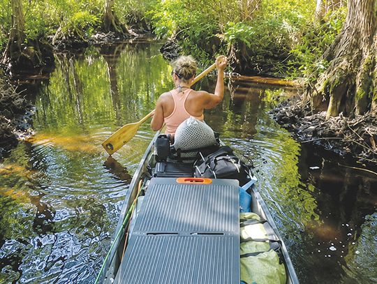 Navigating the black water