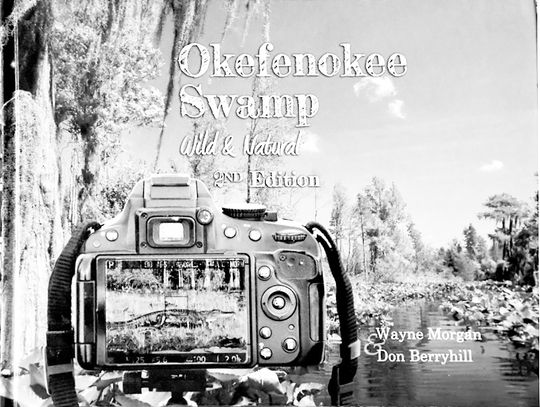 NeSmith taking Okefenokee Swamp to Kemp