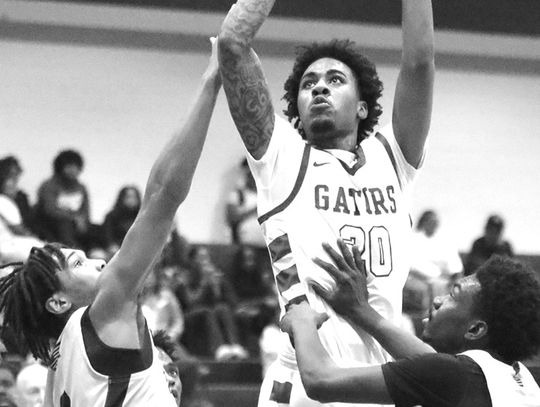 No. 10 Lady Demons overwhelm WCHS; Gators win streak ends