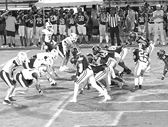 No. 10 Yellow Jackets blank BCHS